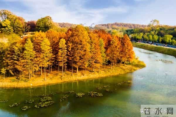 散文：浅冬素笺，雪落人间