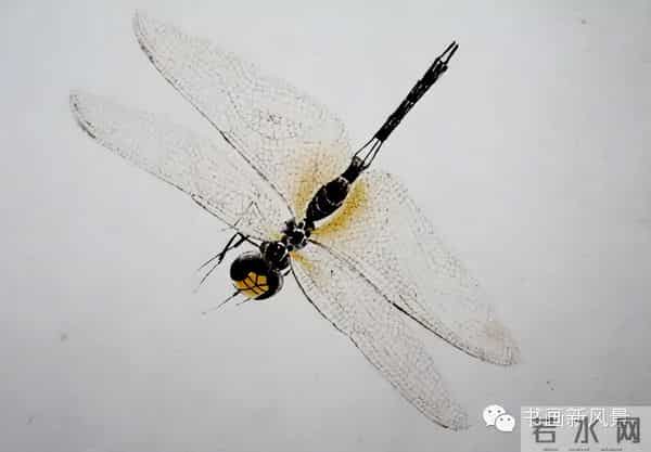 白石老人绝美草虫大荟萃，实在是太养眼啦！