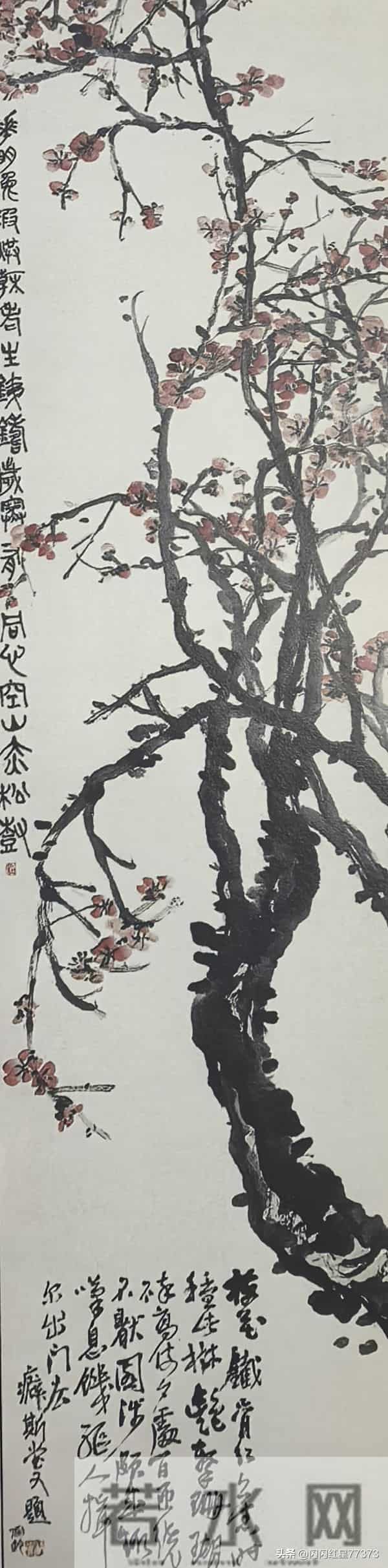 吴昌硕先生的梅花