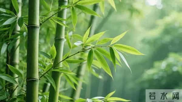 刘禹锡这首酬赠诗，彰显文人气节，常读常新，值得收藏