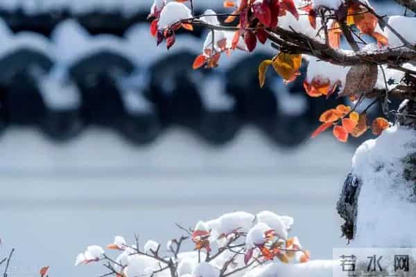 宋代诗人的一首初冬小诗，暖如春日，寒亦从容，这松弛感真是绝了