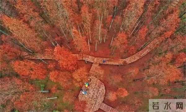 张颂文发朋友圈又提家乡韶关