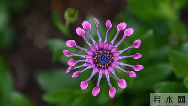 第一名：属兔，11月28日就在这近四天，得跟你说个实在话！