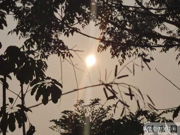 第281章 能守住底线吗–出轨不归路之“疫”乱情迷