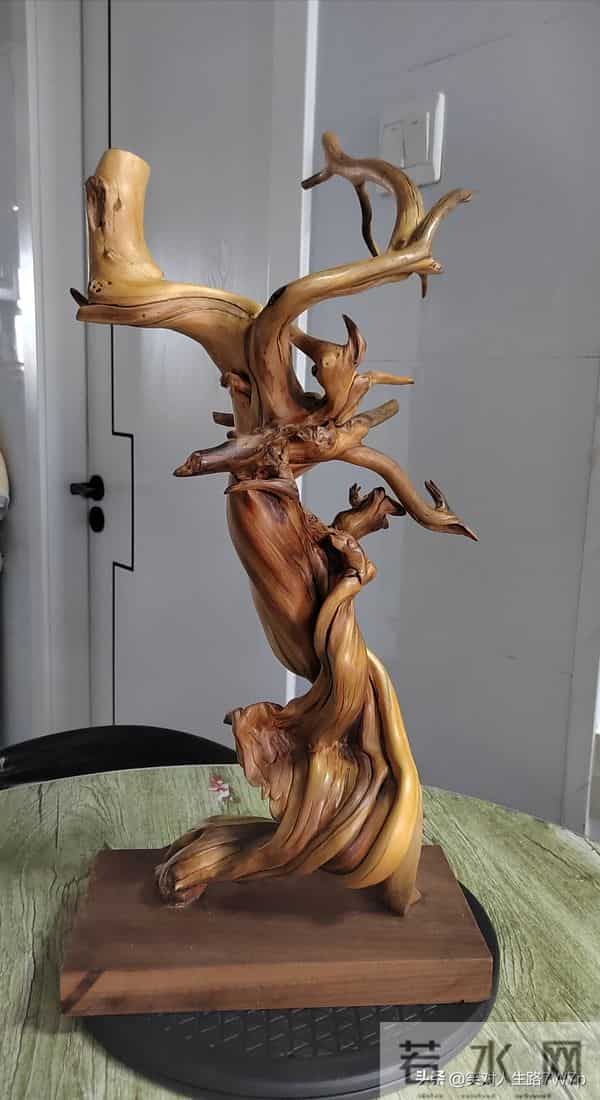 崖柏-悬崖上的生命，木头中的钻石