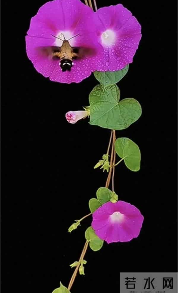 娘家有人(十五)