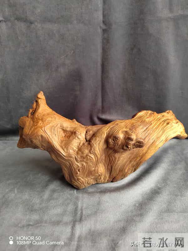 崖柏-悬崖上的生命，木头中的钻石