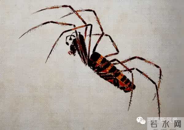 白石老人绝美草虫大荟萃，实在是太养眼啦！