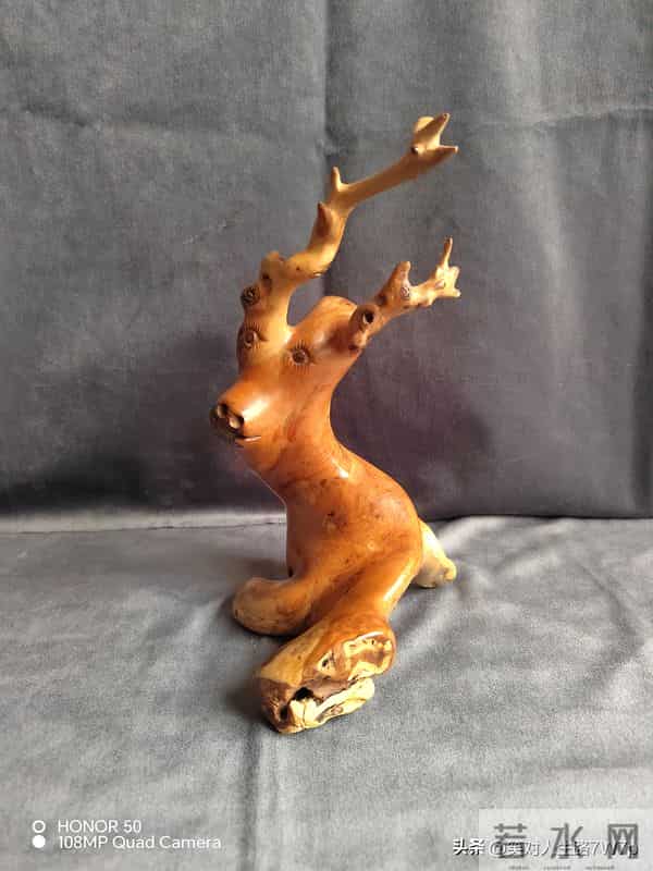 崖柏-悬崖上的生命，木头中的钻石