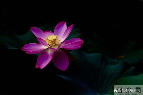 纠结时默念《金刚经》8字，90%的烦恼都能化解