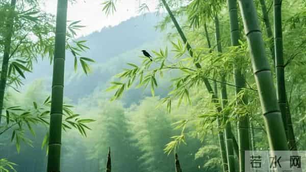 刘禹锡这首酬赠诗，彰显文人气节，常读常新，值得收藏