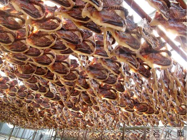 张颂文发朋友圈又提家乡韶关