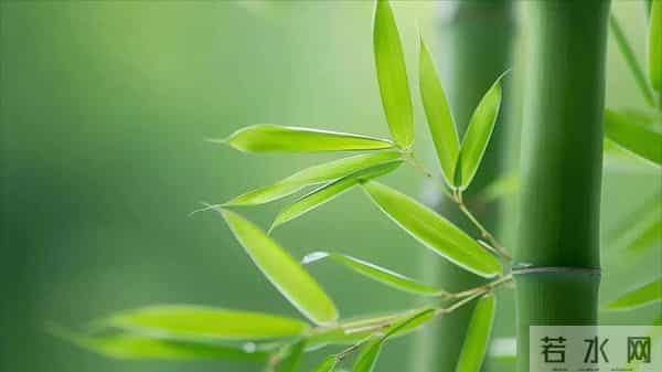 刘禹锡这首酬赠诗，彰显文人气节，常读常新，值得收藏