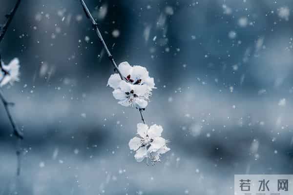 “上午大雪，一冬凌，下午大雪，一冬暖”，今年大雪具体在几点？