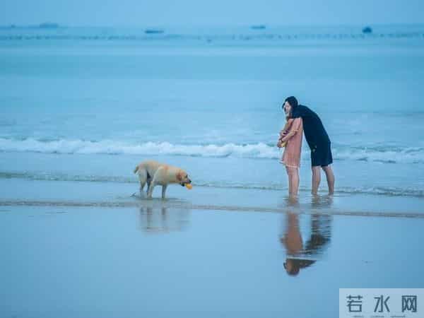 流年是本写满遗憾的书（散文）