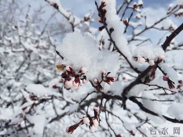 “最怕十月初八晴”，今日十月初八恰逢感恩节，晴天有啥怕的呢？