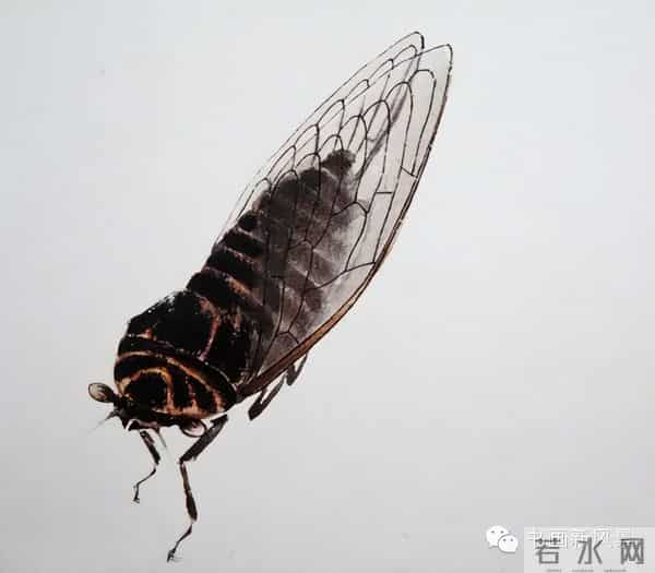 白石老人绝美草虫大荟萃，实在是太养眼啦！