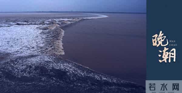 晚潮｜时有落花至，远随流水香