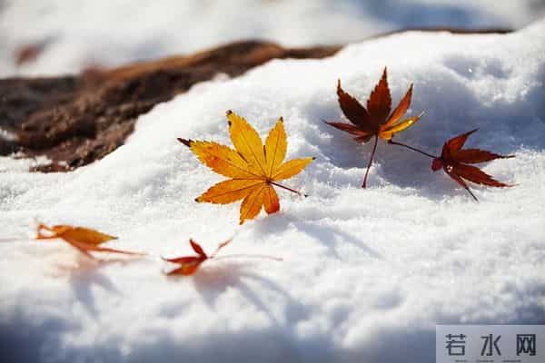 “上午大雪，一冬凌，下午大雪，一冬暖”，今年大雪具体在几点？