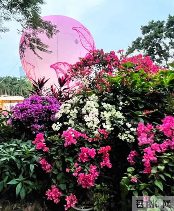 悟得人间情最贵萍水相逢亦前缘