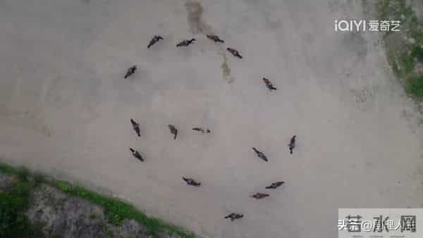 《大生意人》直到古平原2步搞垮万源当，才知苏紫轩的算计有多狠