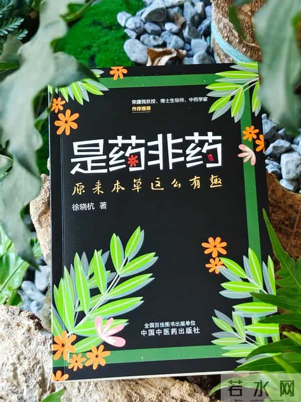 晚潮｜时有落花至，远随流水香