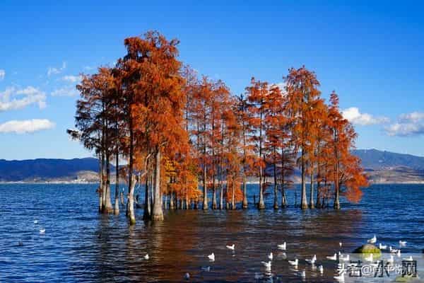 散文：浅冬素笺，雪落人间