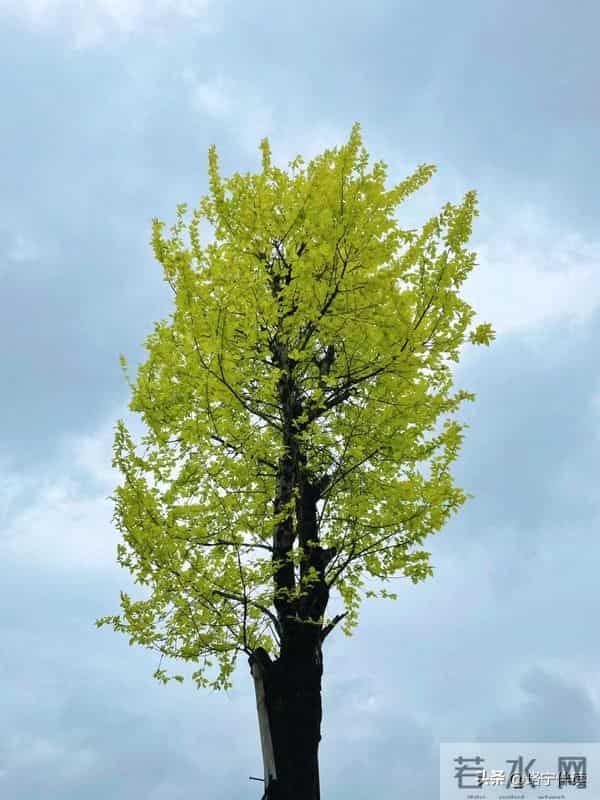 第六感准到可怕的3个生肖：不是玄学，是他们太会读心？