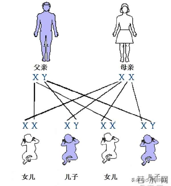 生男生女是随机还是注定？看古人智慧与现代科学的解读
