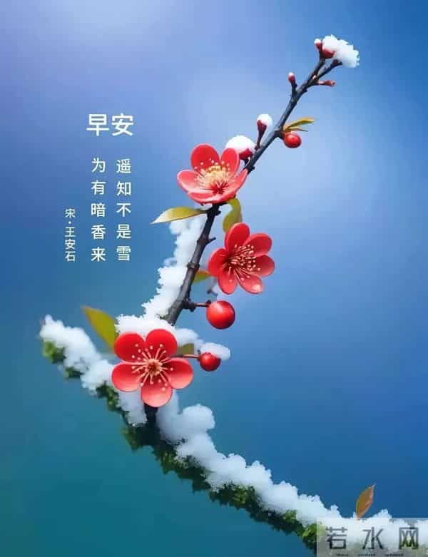 2025年11月27日早上好朋友