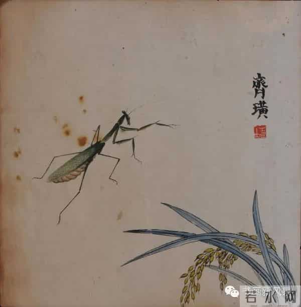 白石老人绝美草虫大荟萃，实在是太养眼啦！