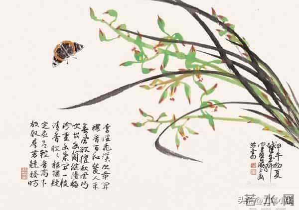 兰心写韵，笔墨铸魂 —— 陈佩秋 花卉四君子兰花欣赏