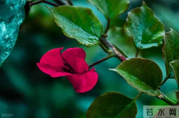 人生价值 = 长度 × 宽度：以宽度雕刻时间，让生命不再留白