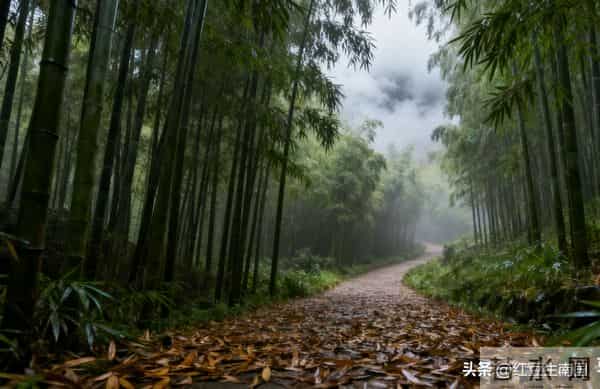 九龙潭肖氏传说——祖上的罪孽影响了几代人的福报
