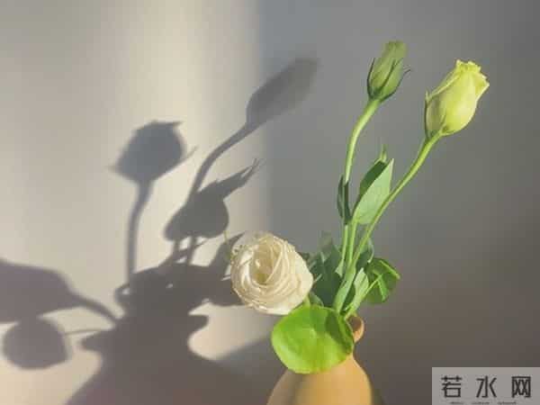 流年是本写满遗憾的书（散文）