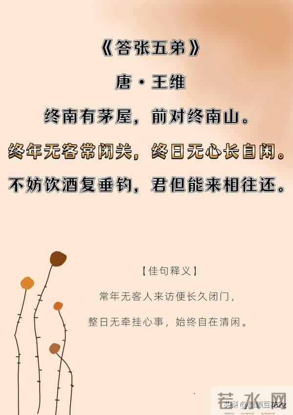 闲适生活｜陶然无喜亦无忧，人生且自由。