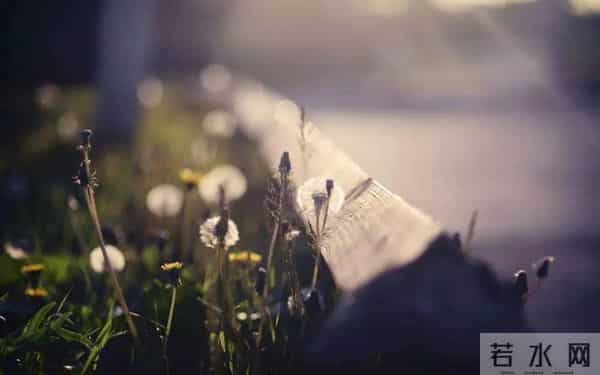 你要成大事，一定要吃透《鬼谷子》这10句话，句句经典，直指人性