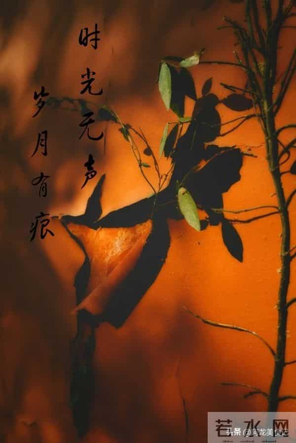 别犯忌讳！十月初十晚上，牢记：1不熬、2不做、3不问、4不聚