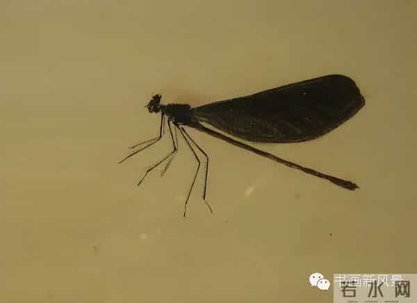 白石老人绝美草虫大荟萃，实在是太养眼啦！