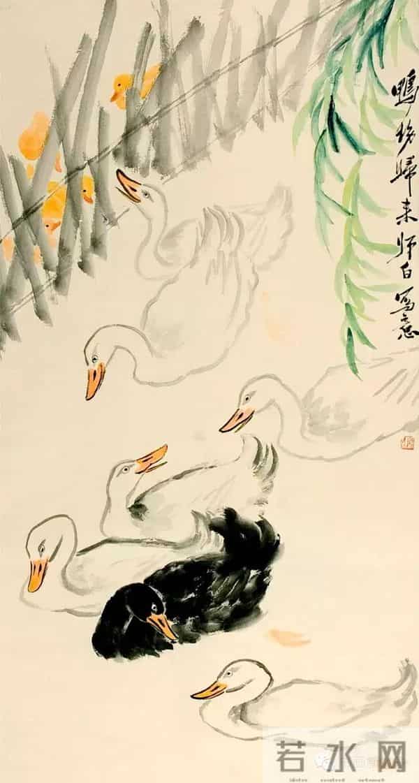 娄师白精品花鸟39幅！！