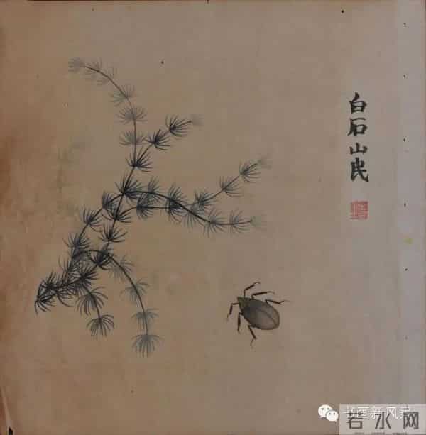白石老人绝美草虫大荟萃，实在是太养眼啦！