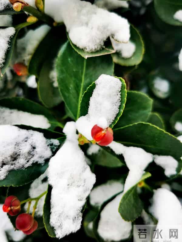 现代诗：多希望