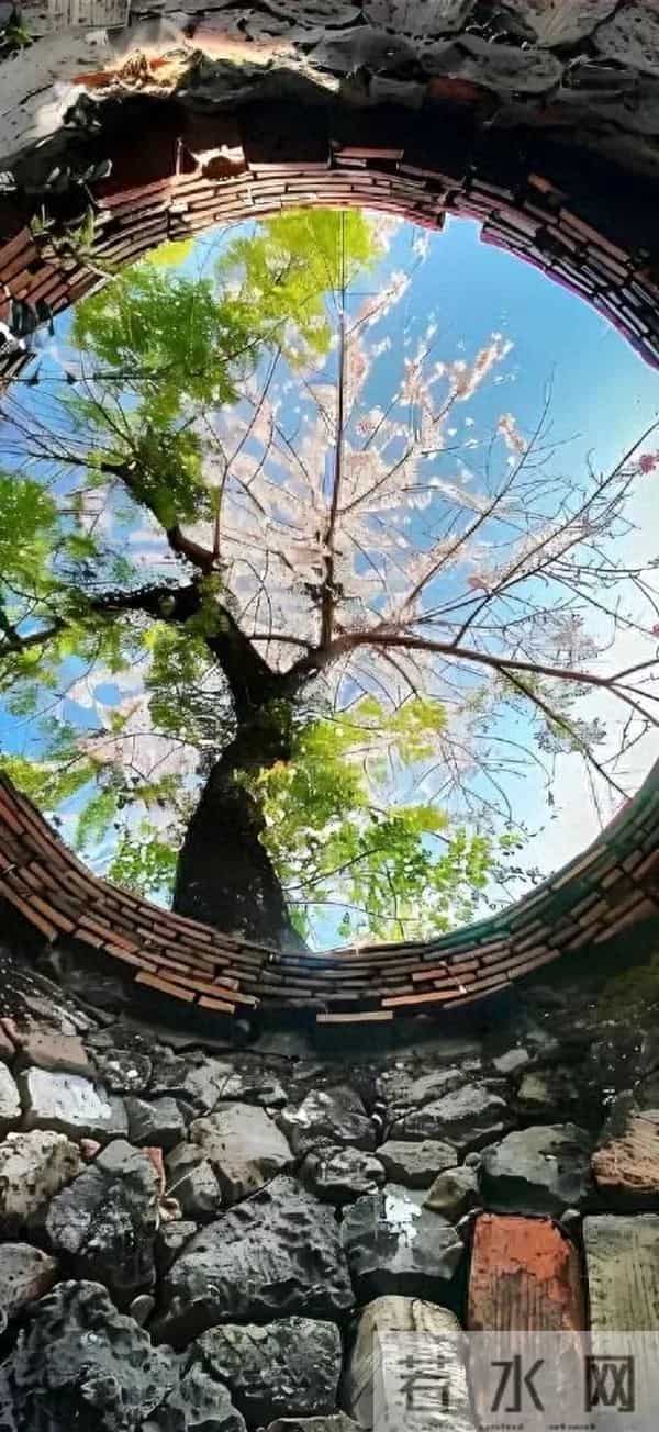 活在当下！修行壁纸