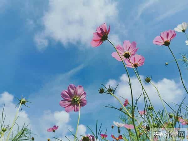 关东风雪情——沉闷的日子（120）