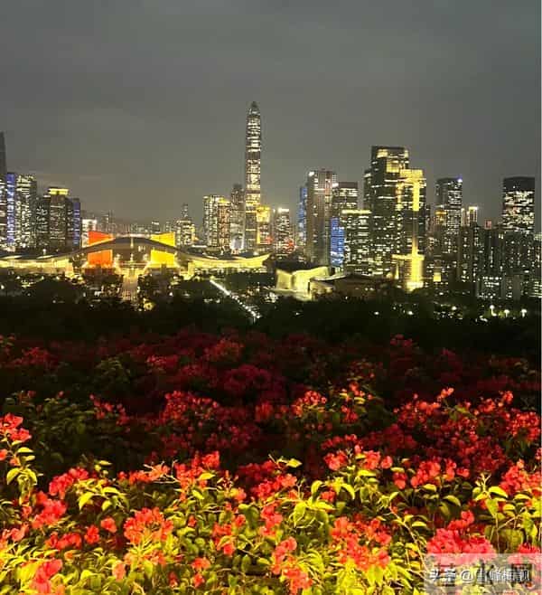 悟得人间情最贵萍水相逢亦前缘