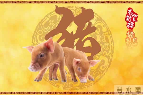 属猪人：12月上旬将有“3件囍事”，查看将会遇见什么？