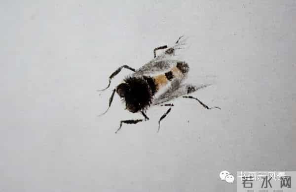 白石老人绝美草虫大荟萃，实在是太养眼啦！