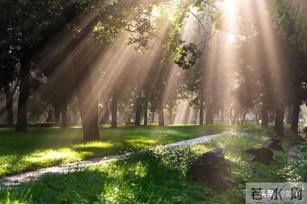 明天农历十月初九，记住“吃二样，做二事”，祈福纳吉，平安健康