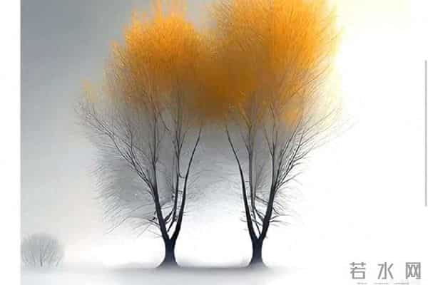 初冬凝诗意,岁月蕴深情