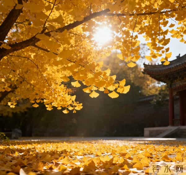 40首婉约风格的七言绝句，揽烟霞草木，藏人间温柔情长